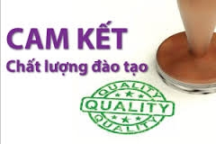 Cam kết đảm bảo chất lượng đào tạo